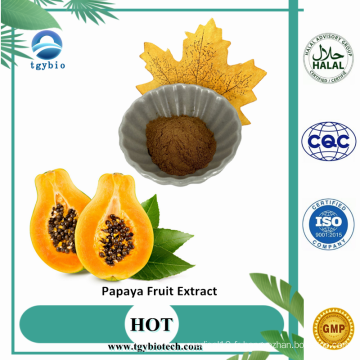 Fourniture de la poudre d&#39;extrait de fruits de Carica papaya Extrait / papaye